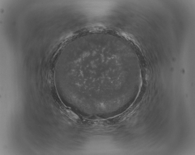 X0000074231445200609081609