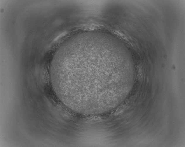 X0000074231446200609081609