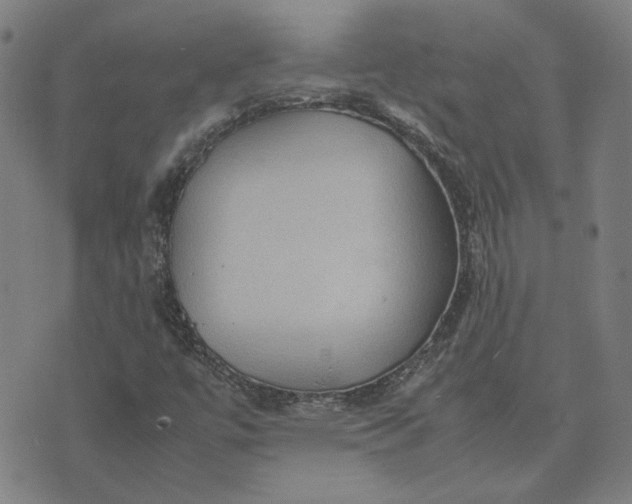 X0000074231447200609081609