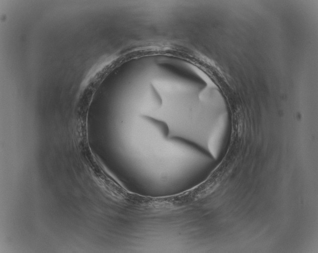 X0000074231448200609081609