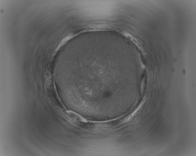 X0000074231449200609081609