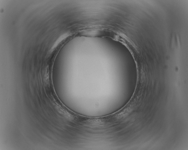 X0000074231450200609081609