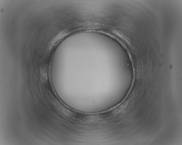 X0000074231451200609081609