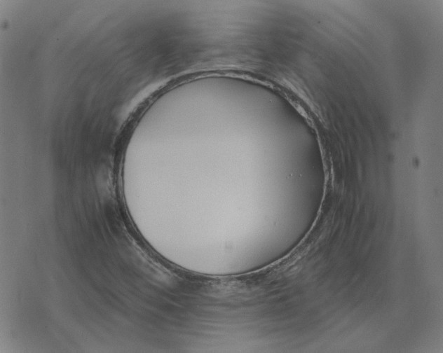 X0000074231452200609081609