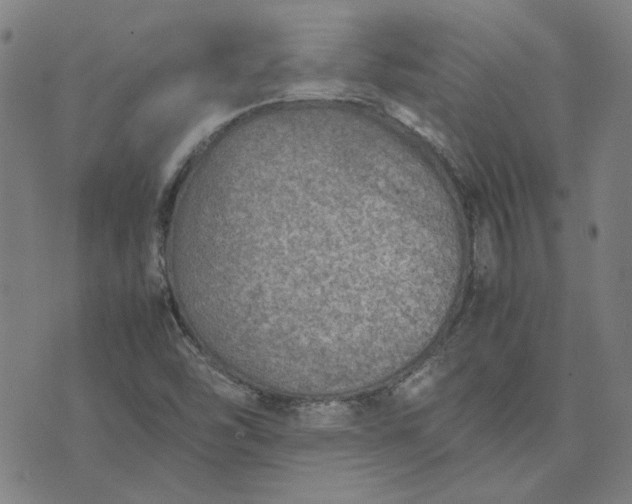 X0000074231454200609081609