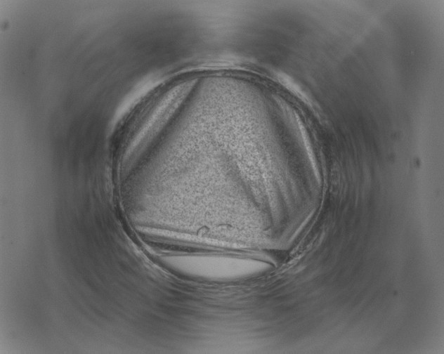 X0000074231456200609081609