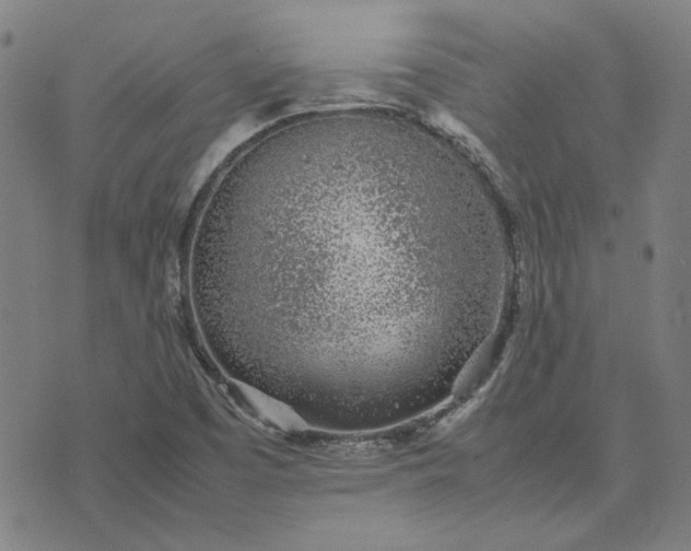 X0000074231457200609081609