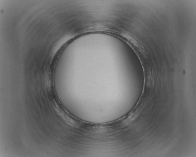 X0000074231458200609081609