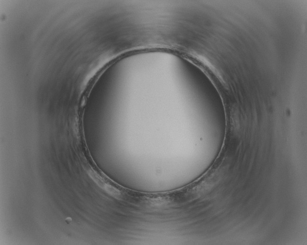 X0000074231460200609081609