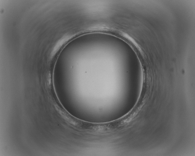 X0000074231461200609081609