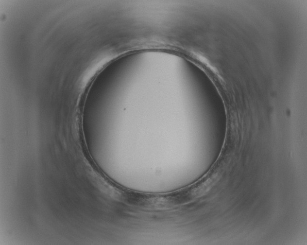 X0000074231463200609081609