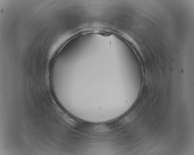 X0000074231464200609081609