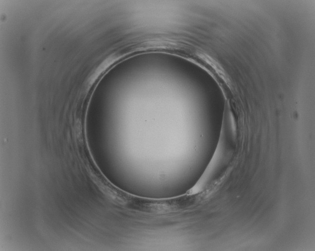 X0000074231465200609081609