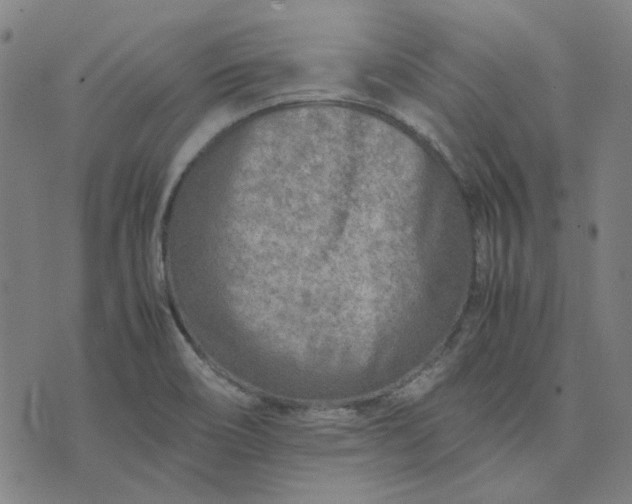 X0000074231466200609081609