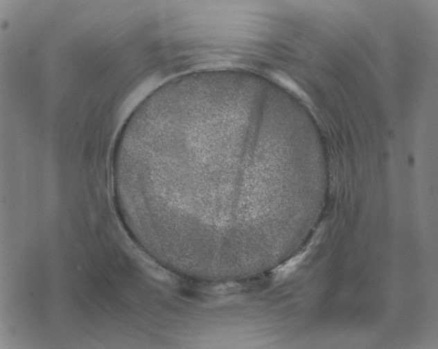 X0000074231467200609081609