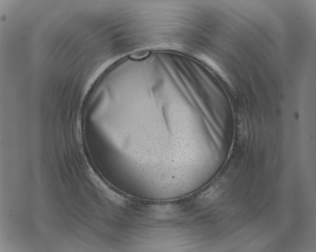 X0000074231468200609081609