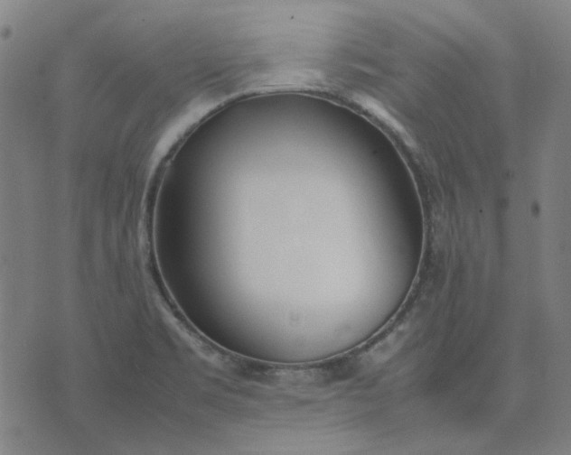 X0000074231469200609081609