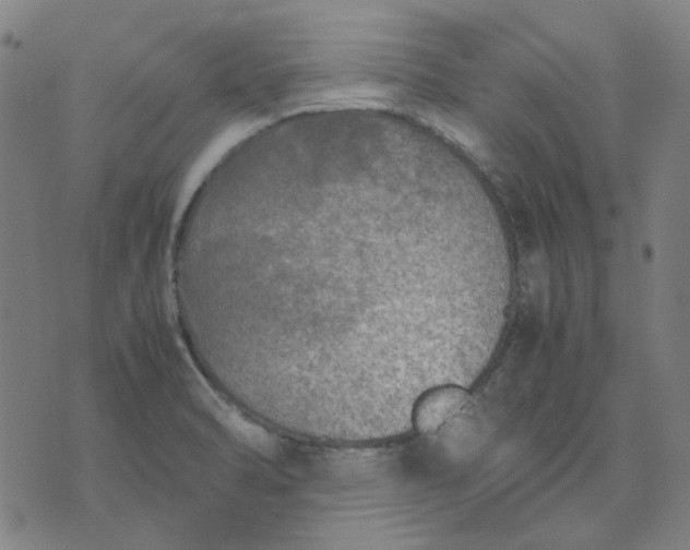 X0000074231470200609081609