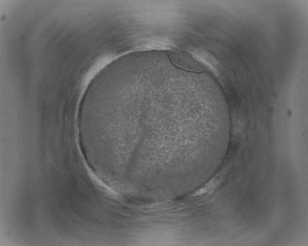 X0000074231471200609081609