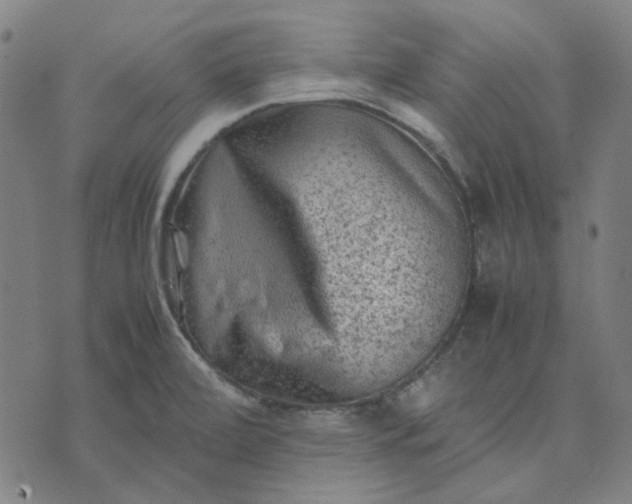 X0000074231472200609081608