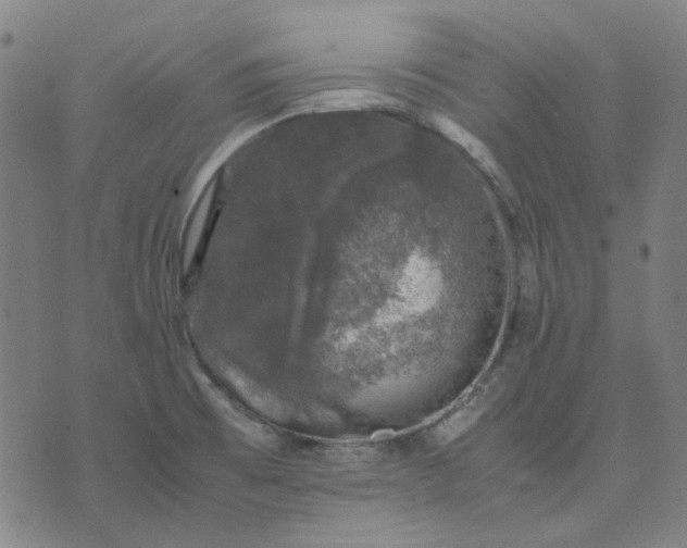 X0000074231473200609081608