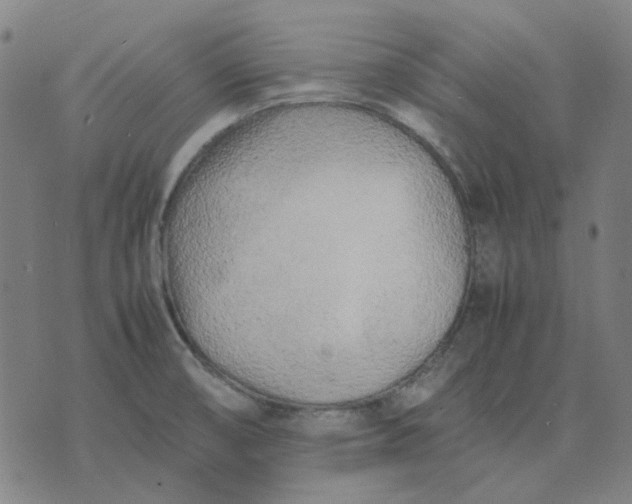 X0000074231474200609081608