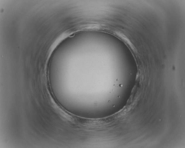 X0000074231475200609081608