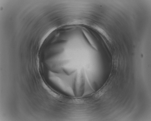 X0000074231476200609081608