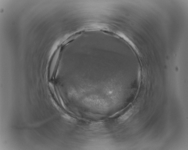 X0000074231477200609081608