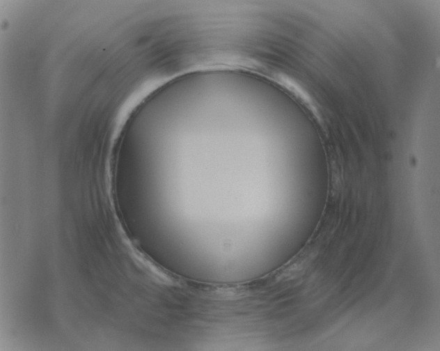 X0000074231480200609081608