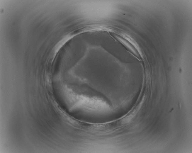 X0000074231481200609081608