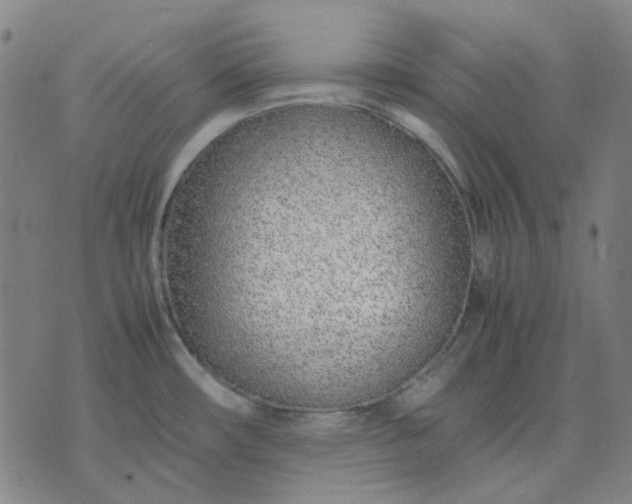 X0000074231482200609081608