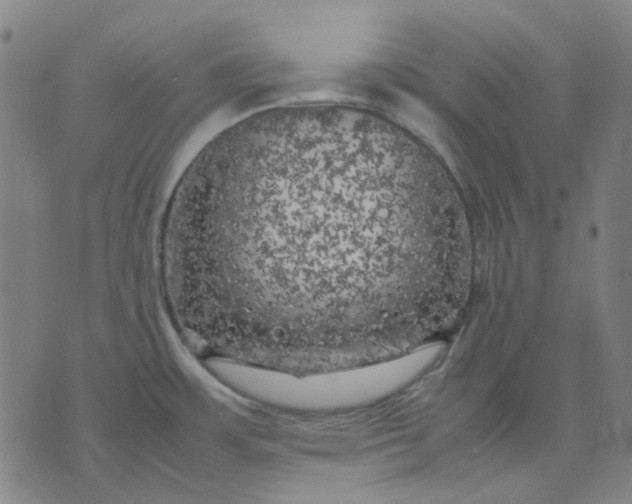 X0000074231483200609081608