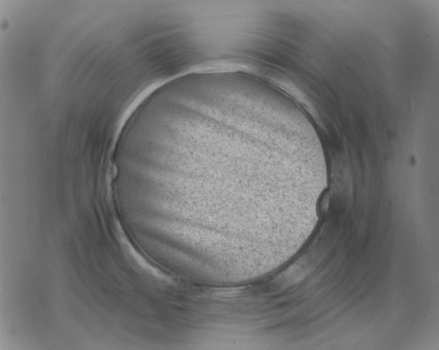 X0000074231484200609081608