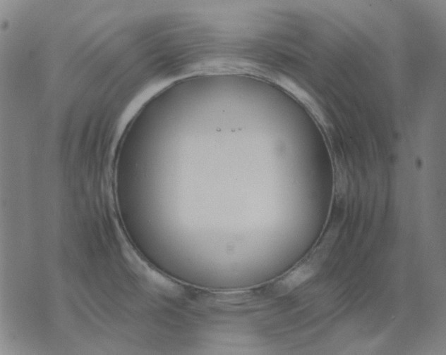 X0000074231486200609081608