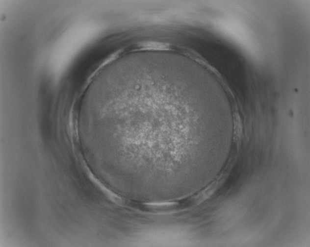 X0000074231487200609081608