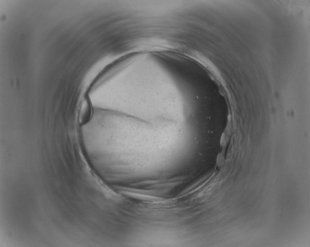 X0000074231488200609081608