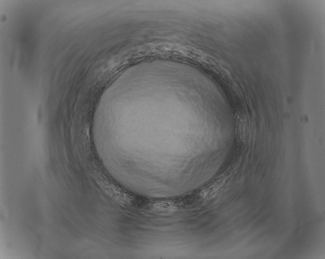 X0000074231489200609081607