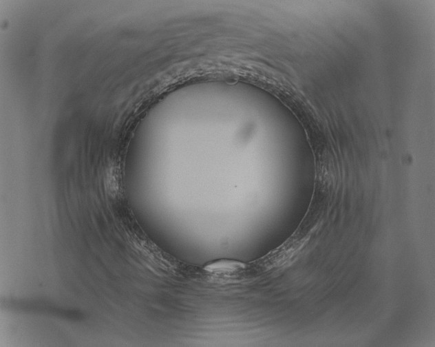 X0000074231490200609081607