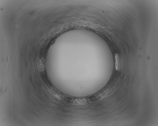 X0000074231491200609081607