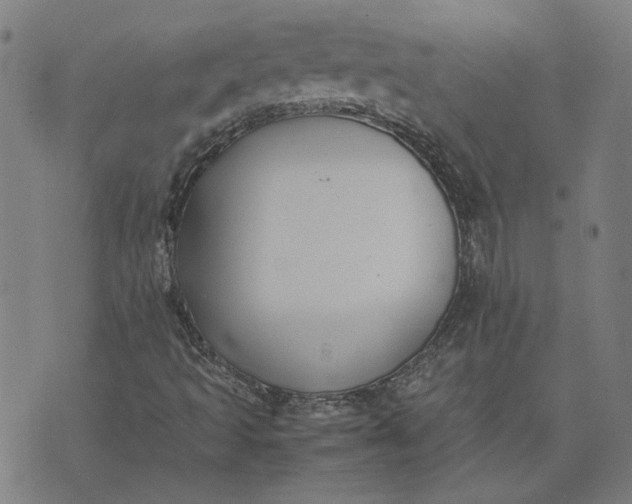 X0000074231493200609081607