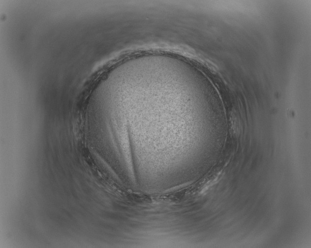 X0000074231494200609081608