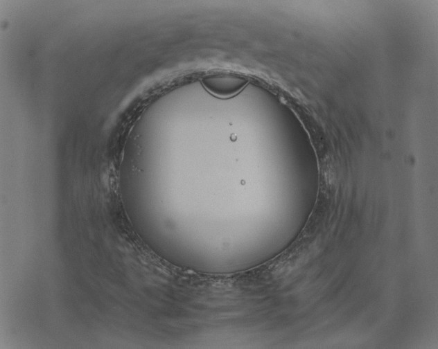 X0000074231495200609081608