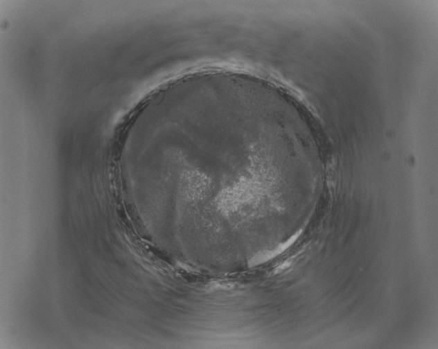 X0000074231496200609081608