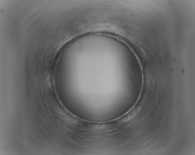 X0000074231497200609081608