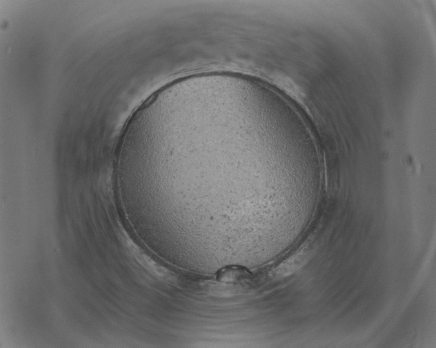 X0000074231500200609081608