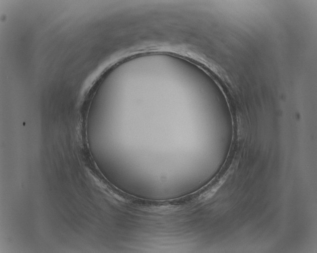 X0000074231502200609081608