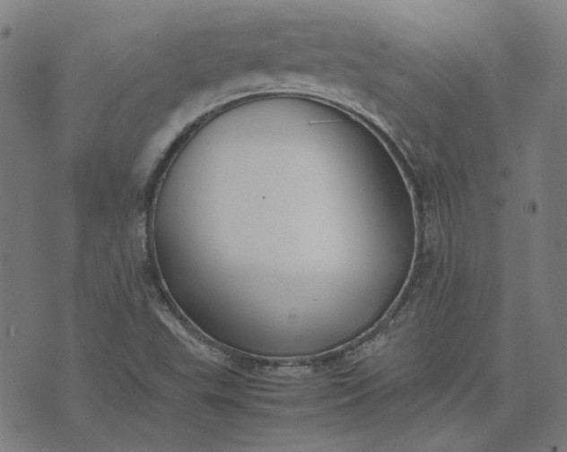 X0000074231503200609081608