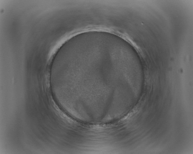 X0000074231504200609081608