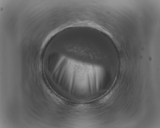 X0000074231506200609081608